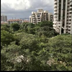 Bayshore Park (D16), Condominium #552412621